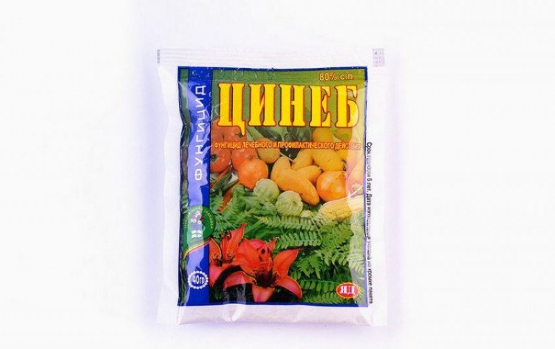 Цинеб