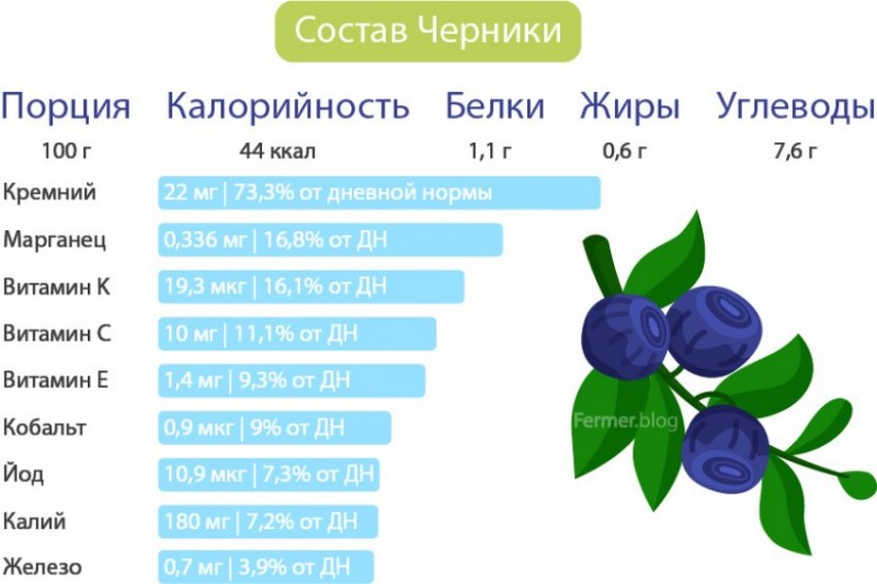 Состав ягод черники
