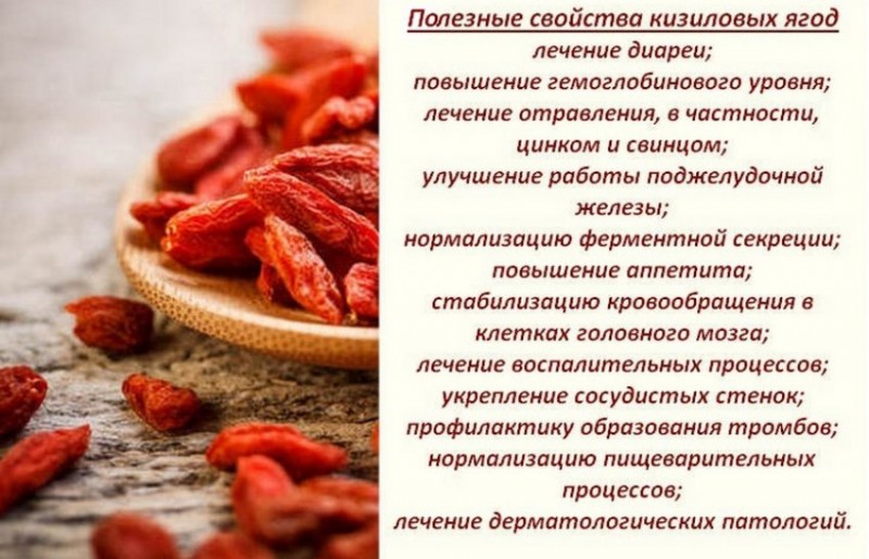 Свойства кизила
