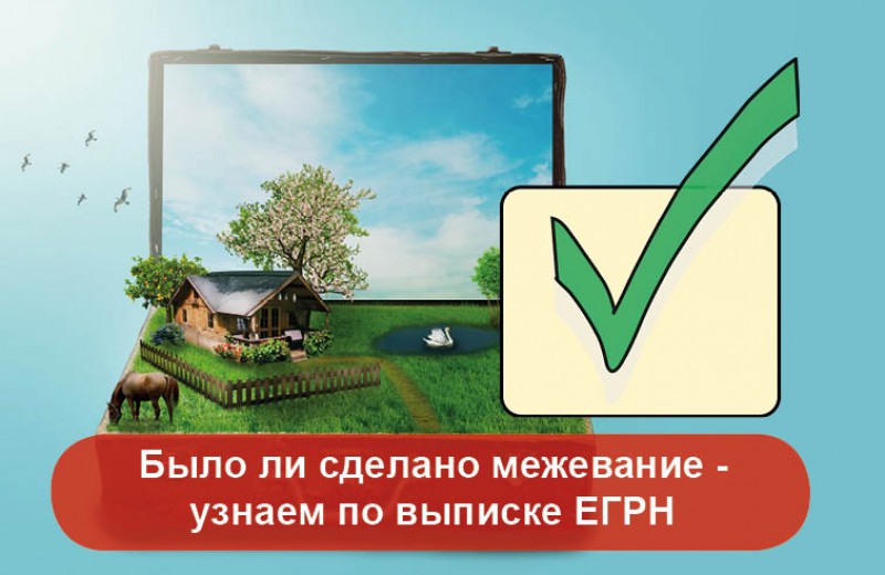 Было ли сделано межевание - узнаем по выписке ЕГРН