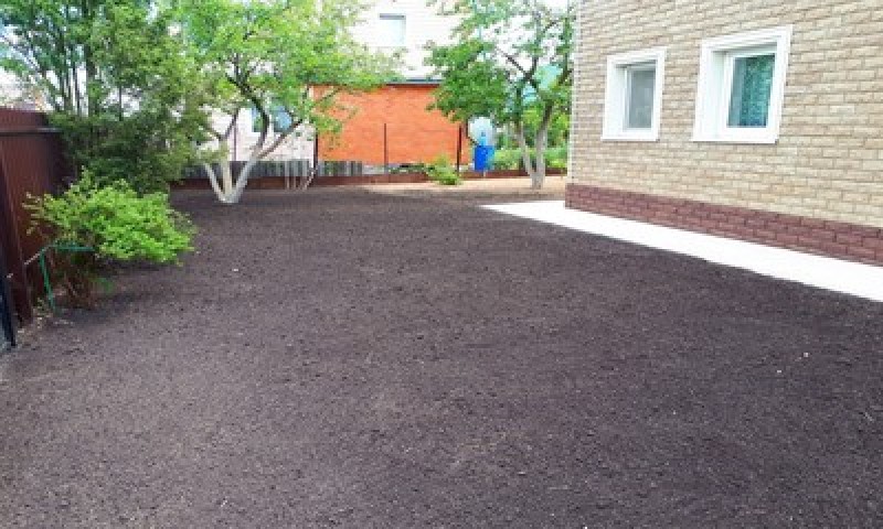 foto23815-1 (2)