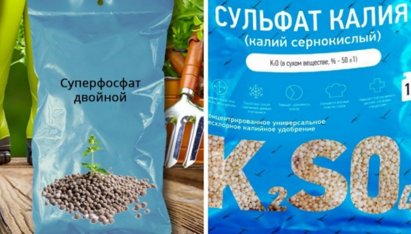 Подкормки для почвы