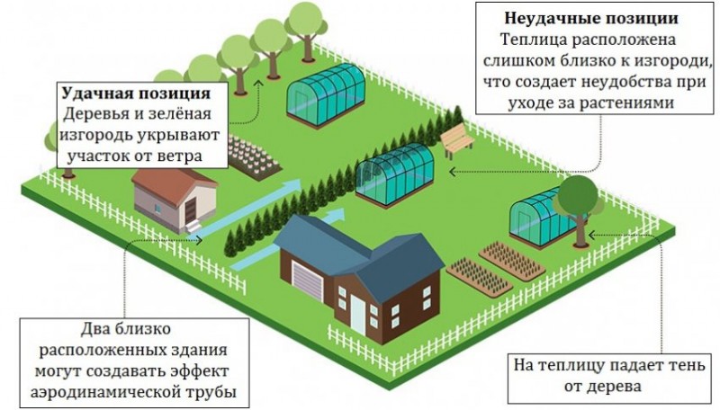 Где ставить теплицу