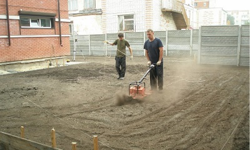 foto23815-1 (1)