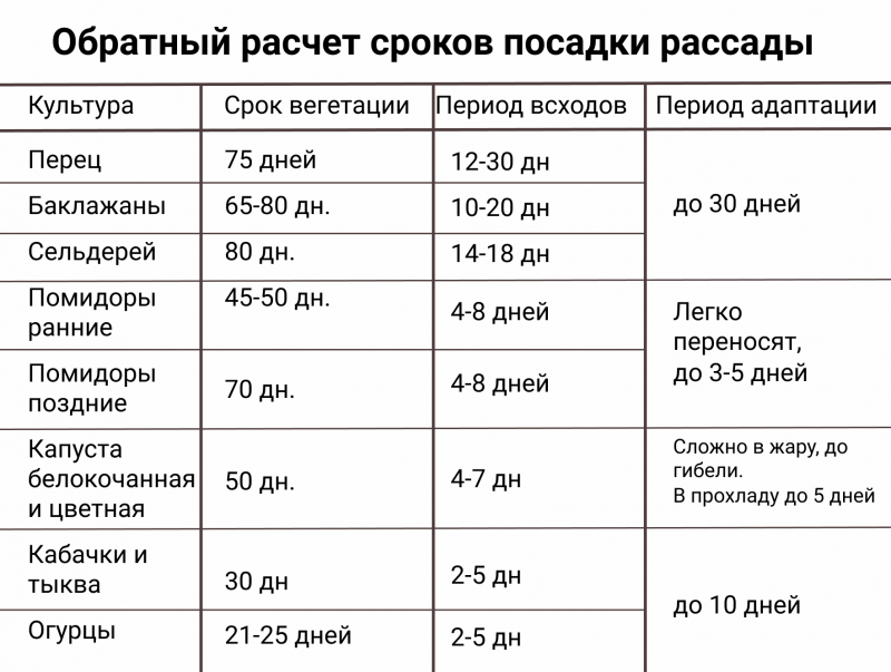 рассчитываем когда посеять рассаду - сроки