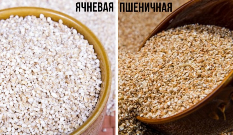 Ячневая и пшеничная крупа