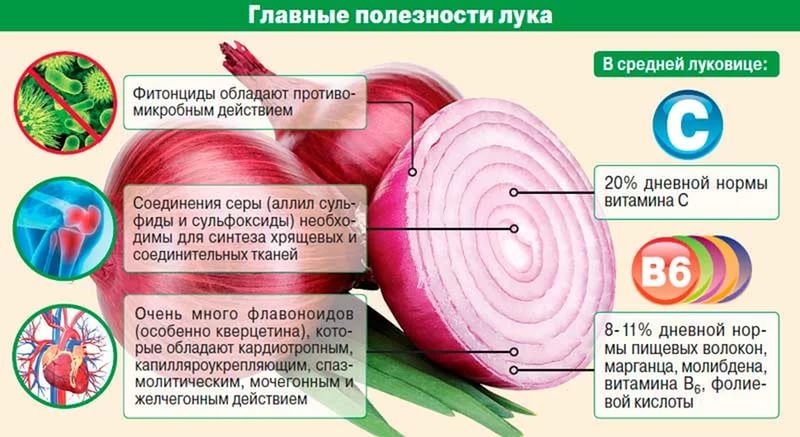 Лук польза