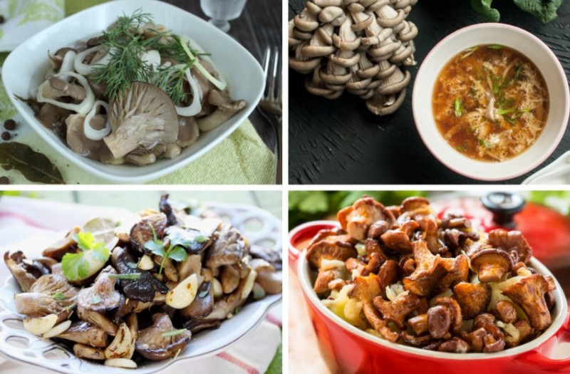 Блюда из вёшенок