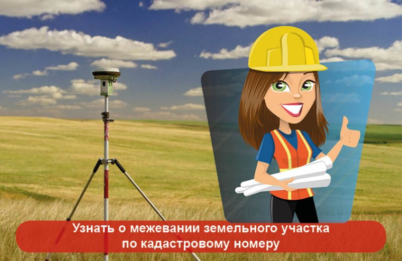 Узнать о межевании земельного участка по кадастровому номеру