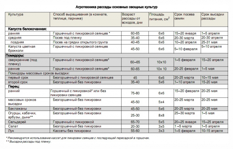 агротехнический способ посева рассады