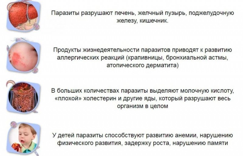 Паразиты в организме человека