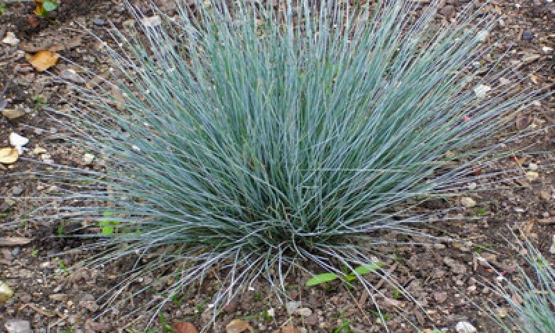 foto22796-1 (5)